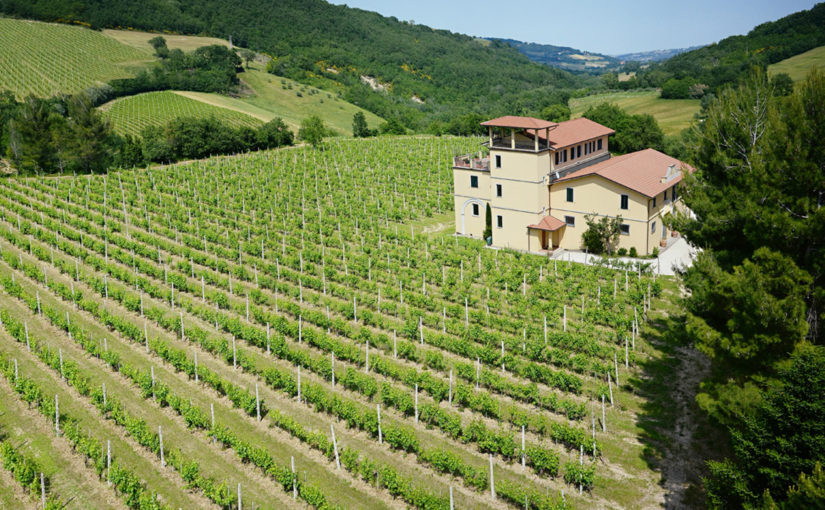 A Secret Wine from a Secret Italy